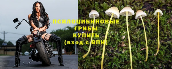 кокс Алексин