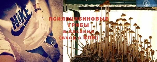 кокс Алексин