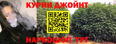 jwh Камышлов