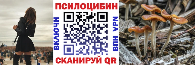 Галлюциногенные грибы GOLDEN TEACHER Искитим