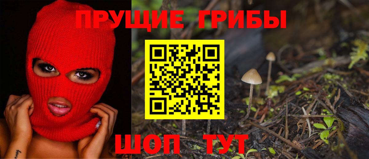 сколько стоит  Псилоцибиновые грибы прущие грибы  Вход с VPN  Галлюциногенные грибы GOLDEN TEACHER  Искитим 