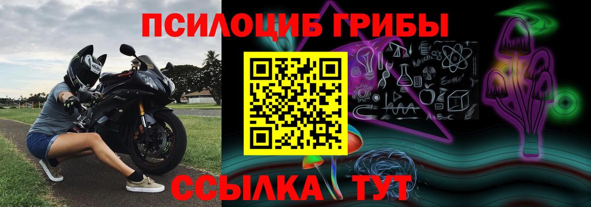 Галлюциногенные грибы GOLDEN TEACHER Искитим